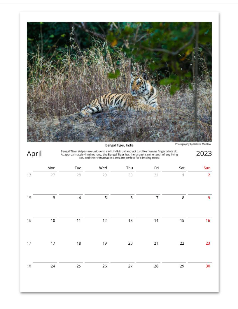 Wildlife Calendar 2023