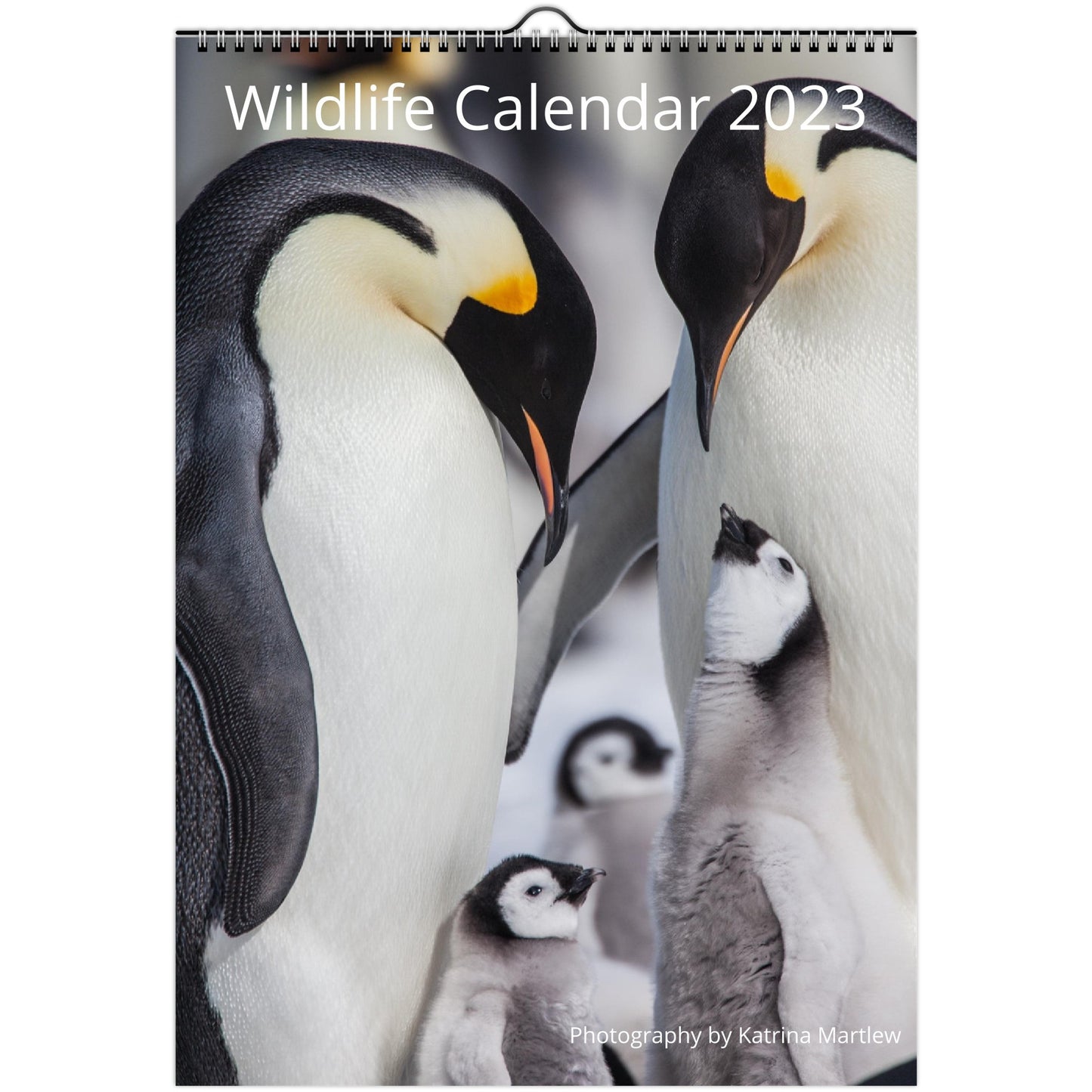 Wildlife Calendar 2023