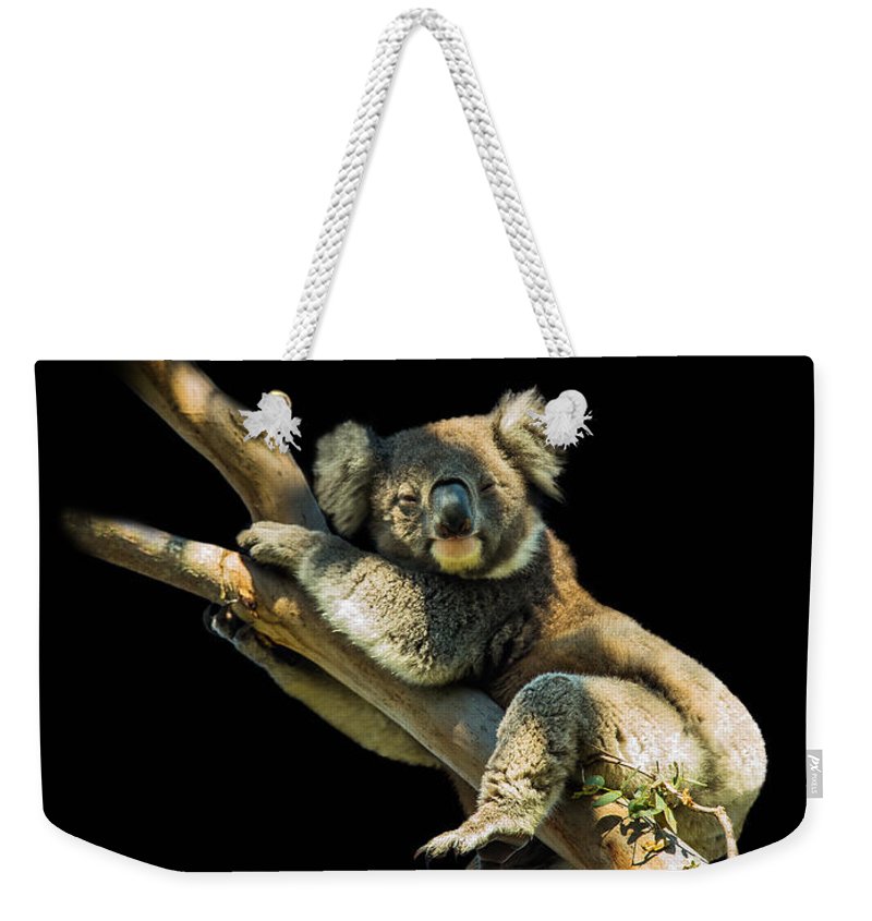The Sleepy Koala - Weekender Tote Bag