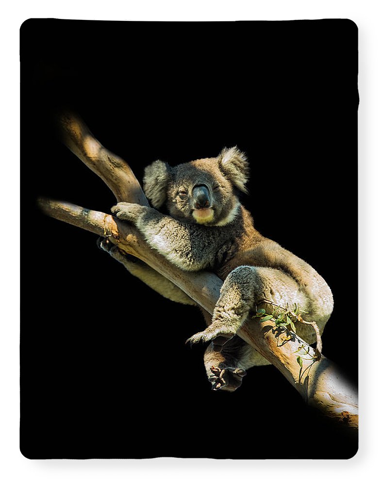 The Drunk Koala Sherpa Blanket