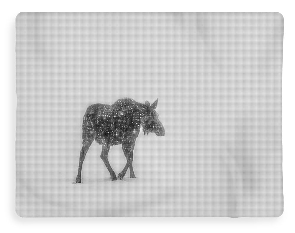 Winter Moose Sherpa Blanket