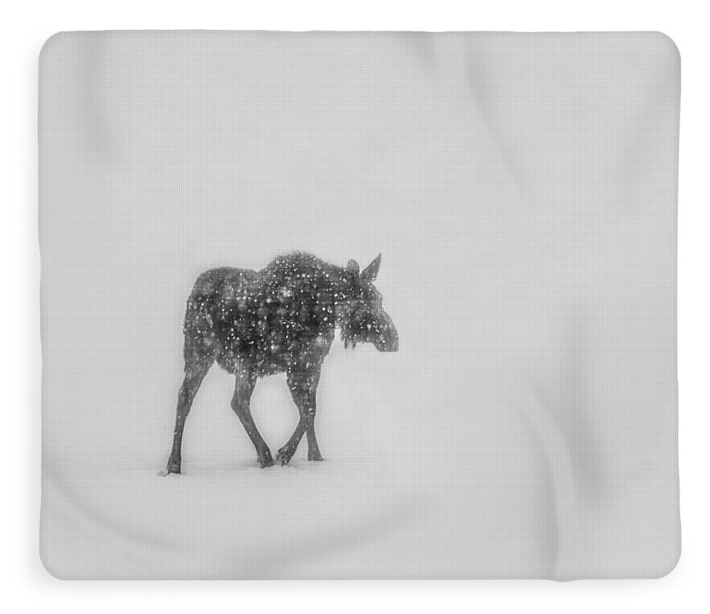 Winter Moose Sherpa Blanket